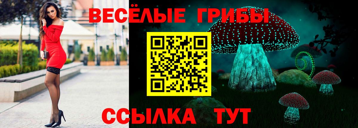 Псилоцибиновые грибы Cubensis Павлово